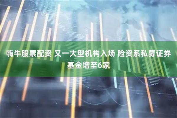 嗨牛股票配资 又一大型机构入场 险资系私募证券基金增至6家