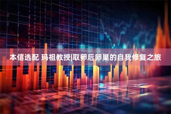 本信选配 玛祖教授|取卵后卵巢的自我修复之旅