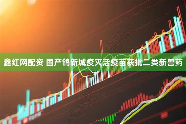 鑫红网配资 国产鸽新城疫灭活疫苗获批二类新兽药