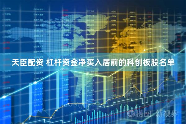 天臣配资 杠杆资金净买入居前的科创板股名单