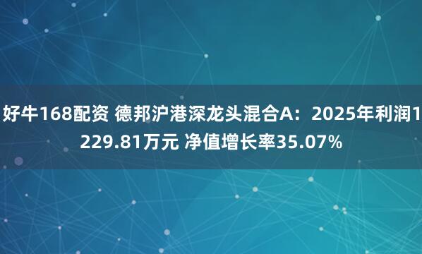 好牛168配资 德邦沪港深龙头混合A：2025年利润1229.81万元 净值增长率35.07%
